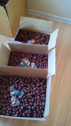 自家產(chǎn)新疆大棗，天然小棗，批發(fā)零售，品質(zhì)之選